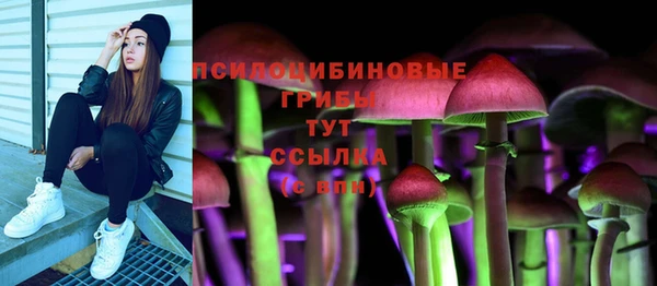 марки lsd Абаза