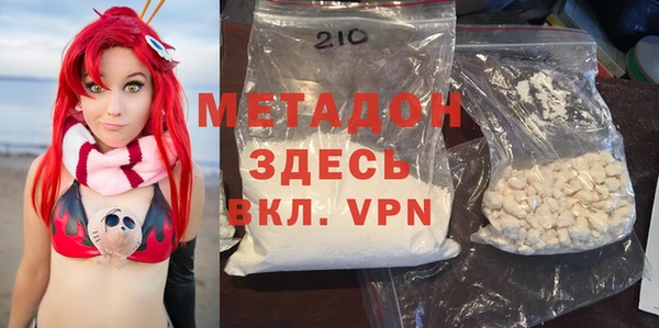 прущие грибы Рославль