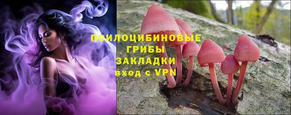 jwh Саяногорск