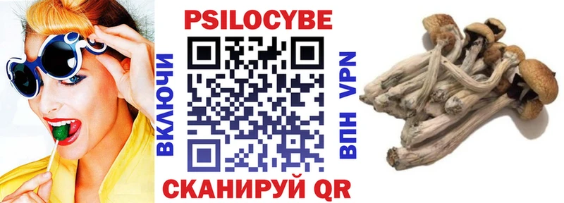 Псилоцибиновые грибы Psilocybine cubensis  blacksprut зеркало  Карталы 